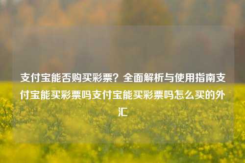 支付宝能否购买彩票？全面解析与使用指南支付宝能买彩票吗支付宝能买彩票吗怎么买的外汇