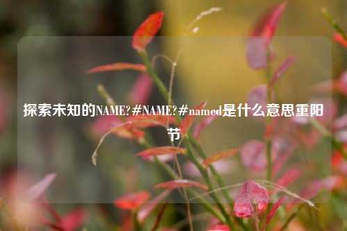 探索未知的NAME?#NAME?#named是什么意思重阳节