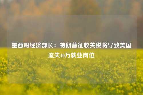 墨西哥经济部长：特朗普征收关税将导致美国流失40万就业岗位