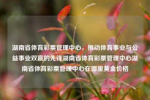 湖南省体育彩票管理中心，推动体育事业与公益事业双赢的先锋湖南省体育彩票管理中心湖南省体育彩票管理中心在哪里黄金价格