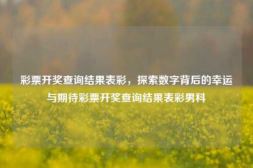 彩票开奖查询结果表，探寻幸运之旅