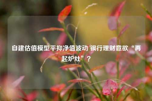 自建估值模型平抑净值波动 银行理财意欲“再起炉灶”？