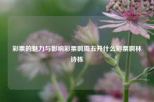 彩票的魅力与影响彩票啊周五开什么彩票啊林诗栋