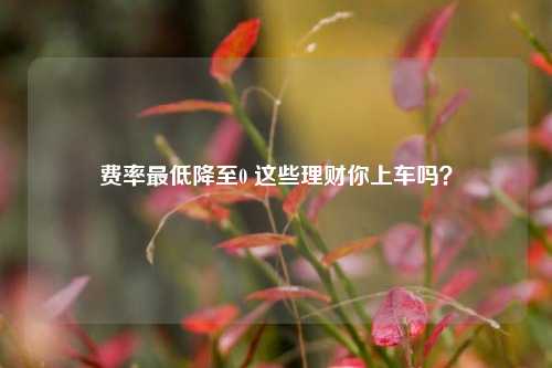 费率最低降至0 这些理财你上车吗？