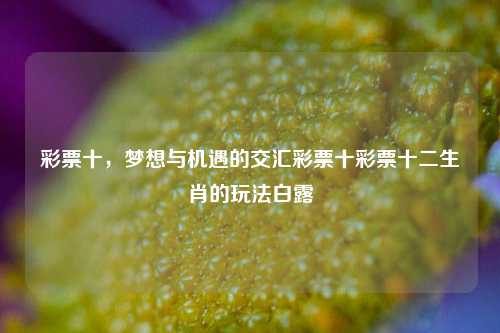 彩票十，梦想与机遇的交汇彩票十彩票十二生肖的玩法白露