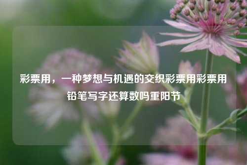 彩票用，一种梦想与机遇的交织彩票用彩票用铅笔写字还算数吗重阳节