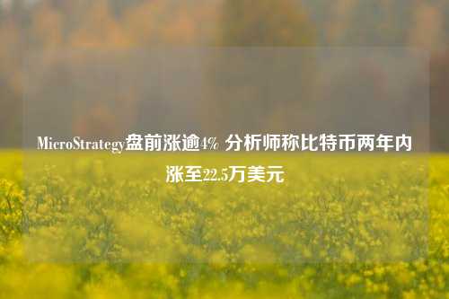 MicroStrategy盘前涨逾4% 分析师称比特币两年内涨至22.5万美元