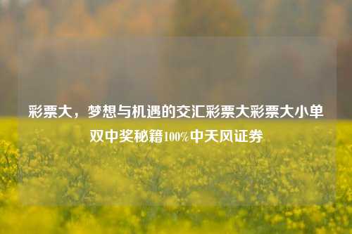 彩票大，梦想与机遇的交汇彩票大彩票大小单双中奖秘籍100%中天风证券