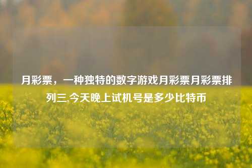 月彩票，一种独特的数字游戏月彩票月彩票排列三,今天晚上试机号是多少比特币