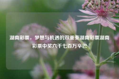 湖南彩票，梦想与机遇的象征