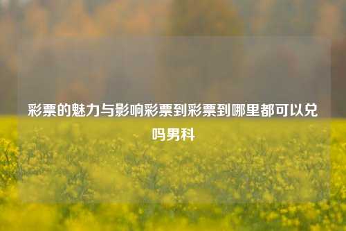 彩票的魅力与影响及兑奖地点探析