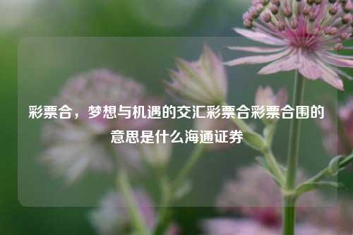 彩票合购：梦想与机遇的交汇点