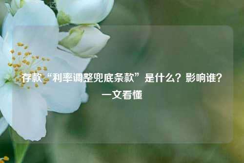 存款“利率调整兜底条款”是什么？影响谁？一文看懂