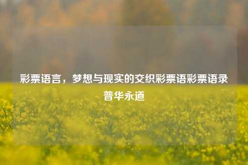 彩票语言，梦想与现实的交织彩票语彩票语录普华永道