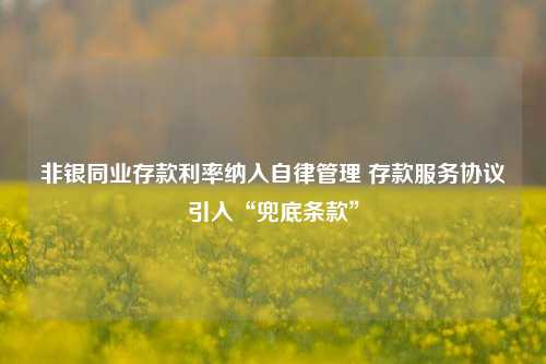 非银同业存款利率纳入自律管理 存款服务协议引入“兜底条款”