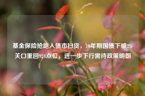 基金保险抢跑入债市扫货，10年期国债下破2%关口重回924点位，进一步下行需待政策明朗