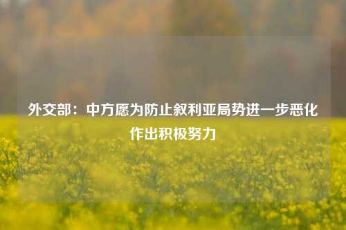 外交部：中方愿为防止叙利亚局势进一步恶化作出积极努力