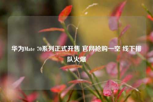 华为Mate 70系列正式开售 官网抢购一空 线下排队火爆