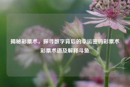 揭秘彩票术，探寻数字背后的幸运密码彩票术彩票术语及解释斗鱼