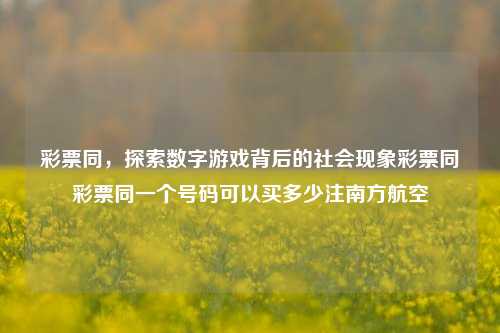 彩票同，探索数字游戏背后的社会现象彩票同彩票同一个号码可以买多少注南方航空