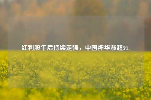 红利股午后持续走强，中国神华涨超5%