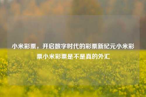 小米彩票，开启数字时代的彩票新纪元小米彩票小米彩票是不是真的外汇