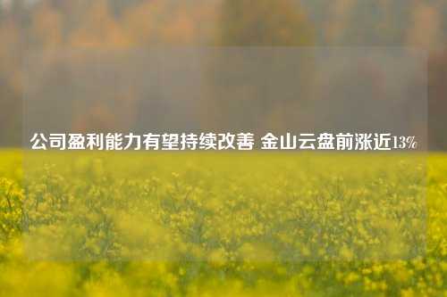 公司盈利能力有望持续改善 金山云盘前涨近13%