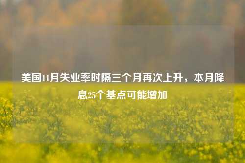 美国11月失业率时隔三个月再次上升，本月降息25个基点可能增加