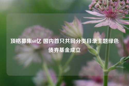 顶格募集60亿 国内首只共同分类目录主题绿色债券基金成立