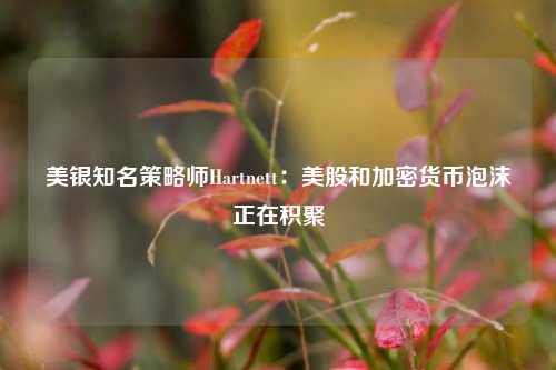 美银知名策略师Hartnett：美股和加密货币泡沫正在积聚