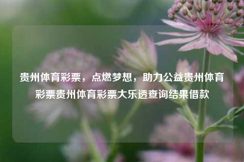 贵州体育彩票助力公益