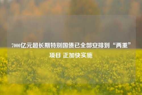 7000亿元超长期特别国债已全部安排到“两重”项目 正加快实施