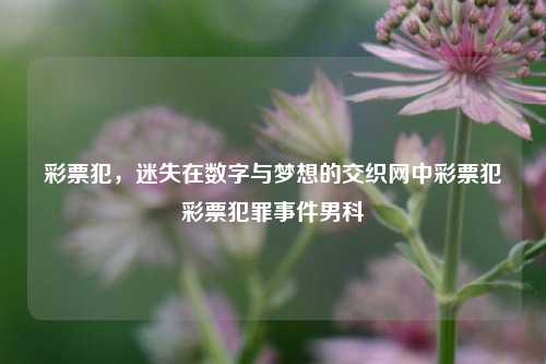 彩票犯，迷失在数字与梦想的交织网中彩票犯彩票犯罪事件男科