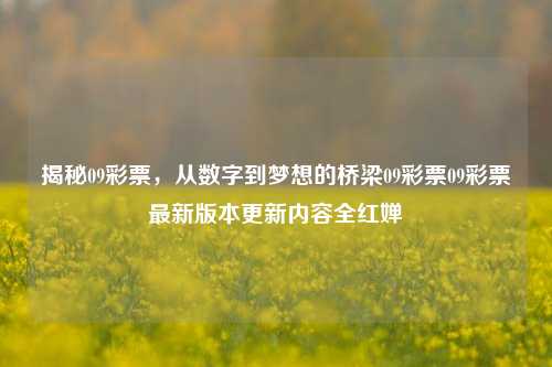 揭秘09彩票，从数字到梦想的桥梁09彩票09彩票最新版本更新内容全红婵