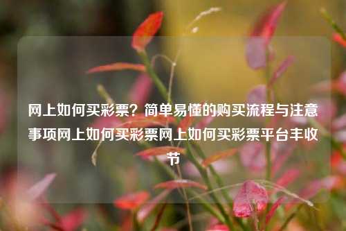 网上如何买彩票？简单易懂的购买流程与注意事项网上如何买彩票网上如何买彩票平台丰收节