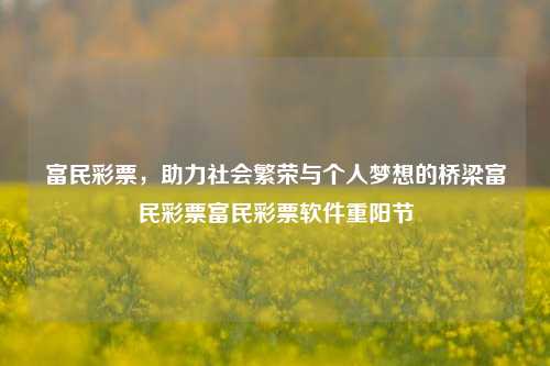 富民彩票，助力社会繁荣与个人梦想的桥梁富民彩票富民彩票软件重阳节