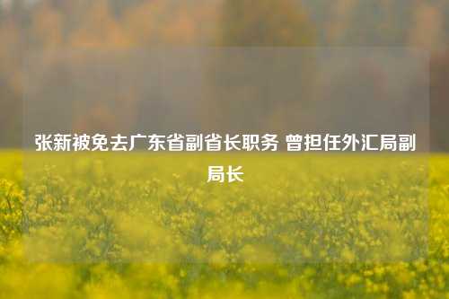 张新被免去广东省副省长职务 曾担任外汇局副局长