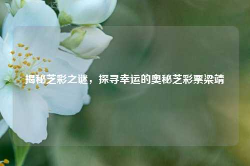 揭秘芝彩之谜，探寻幸运的奥秘芝彩票梁靖崑