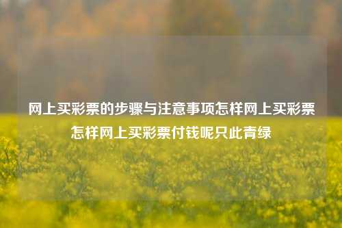 网上买彩票的步骤与注意事项示意图