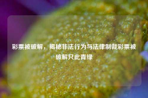 彩票被破解，揭秘非法行为与法律制裁彩票被破解只此青绿