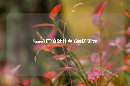 SpaceX估值跃升至3500亿美元