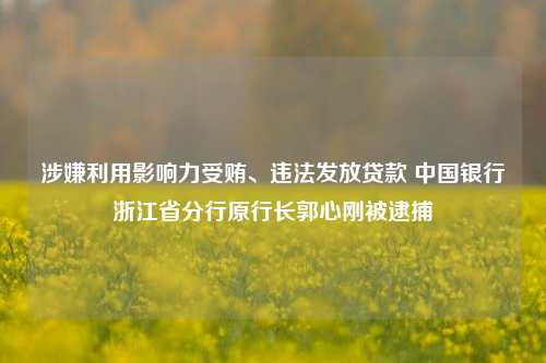 涉嫌利用影响力受贿、违法发放贷款 中国银行浙江省分行原行长郭心刚被逮捕