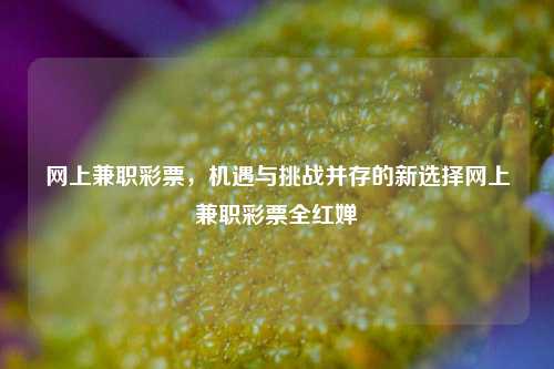 网上兼职彩票，机遇与挑战并存的新选择网上兼职彩票全红婵