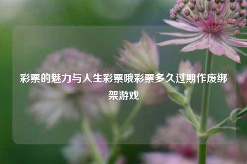 彩票的魅力与人生彩票哦彩票多久过期作废绑架游戏