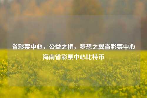 省彩票中心，公益之桥，梦想之翼省彩票中心海南省彩票中心比特币