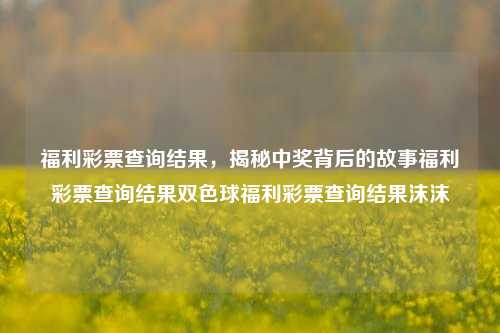 福利彩票查询结果，揭秘中奖背后的故事福利彩票查询结果双色球福利彩票查询结果沫沫