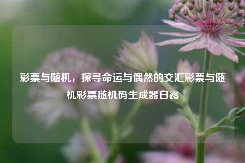 彩票与随机，探寻命运与偶然的交汇彩票与随机彩票随机码生成器白露