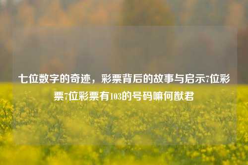 七位数字的奇迹，彩票背后的故事与启示7位彩票7位彩票有103的号码嘛何猷君