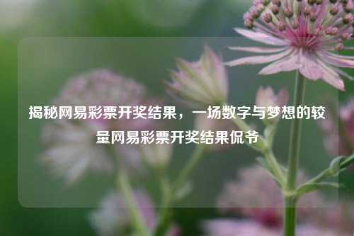 网易彩票开奖结果揭秘