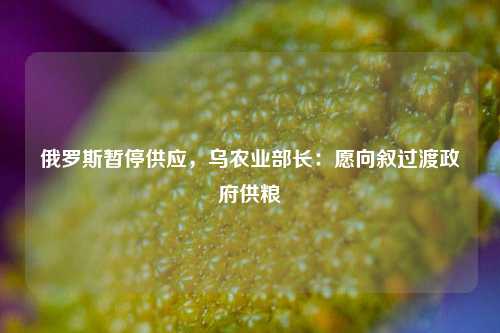 俄罗斯暂停供应，乌农业部长：愿向叙过渡政府供粮